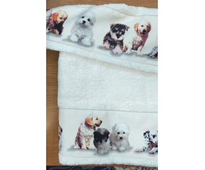 Set 2 pezzi spugna 