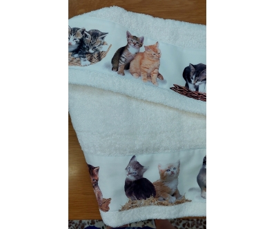 Set 2 pezzi spugna 